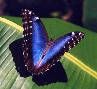 IMG_9130inc.jpg
