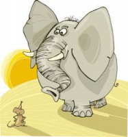 elefant & mouse.jpg