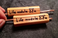 efa_life_module_Sh.jpg