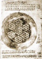 Fol_DaVinci.jpg