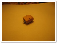 IMG_8872.jpg