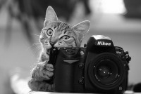 33piCqGs2Xwкот и канон..jpg