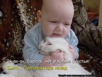 1416587861_kotomatricy-111барсик.jpg