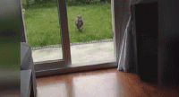 image.gif