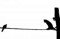 2_1268227192.jpg