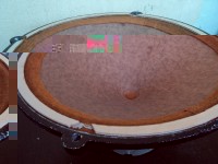 DSC00203.jpg