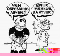 06_01_00.jpg