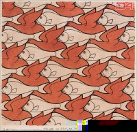 not_maurits_escher_birds_and_fishes.jpg