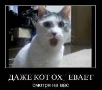 demotivatory_na_sredu_46_foto_25.jpg