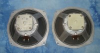 8inch Phenolic Spider AlNico Speaker Telefunken-1.JPG