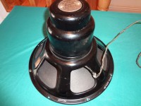 DSC00304.jpg