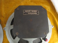 519731203_o.jpg
