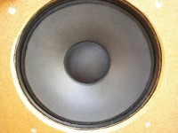 Tannoy Monitor Black 15inch Dual Concentric-9.JPG