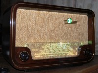 fox009.JPG