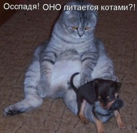s640x48л0.jpg