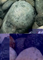0_32227_aeaf07c7_XL.jpg