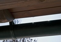 DSC_0048c.jpg