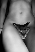 фотография (1).JPG