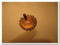 IMG_7905.jpg