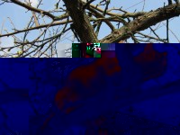 0009bedw.jpg